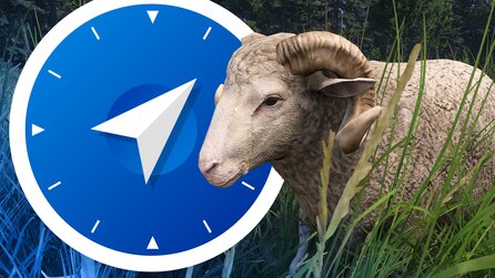 Kingdom Come 2: Alle Schäferquests gelöst - so bringt ihr eure Schäfchen ins Trockene