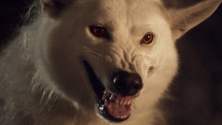 Starks oder Casterly: Set-Fotos vom Game of Thrones-Prequel Bloodmoon enthüllen ein neues Hauswappen