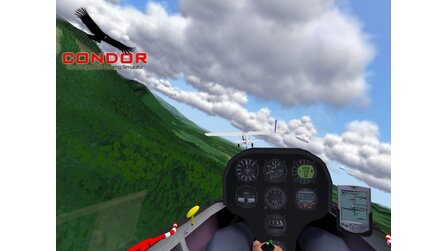 Condor