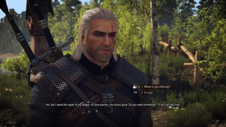The Witcher 3 - CD Projekt Red zeigen ihre Lieblings-Mods zum Spiel