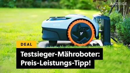Mähroboter ohne Draht: Dieser Testsieger ist eine Preis-Leistungs-Kanone - und gerade richtig stark reduziert!