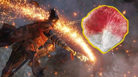 Sekiro - Wo es Schatzkarpfen-Schuppen gibt und wieso sie so wichtig sind
