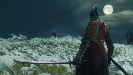 Gerücht um Open-World-Dark-Souls - Update: Bandai Namco möchte es nicht kommentieren