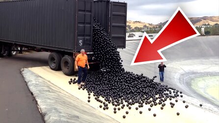 Warum wurden 96 Millionen schwarze Bälle in Wasserbecken in den USA geschüttet – und wieso mussten die meisten davon wieder entfernt werden?