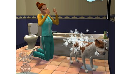 Die Sims 2: Haustiere - Patch 1.6.0.273 (Download-Version)