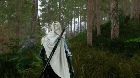 Skyrims Wälder sind dank Grafik-Mods kaum wiederzuerkennen