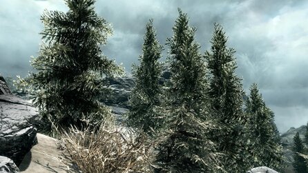 Next-Gen-Mods für Skyrim - So schön kann Skyrim auf dem PC sein
