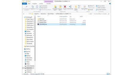 Skyrim Flora Overhaul richtig installieren - Bilder