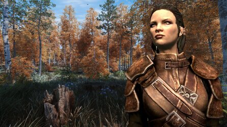 Skyrim: Diese Mod zaubert wunderschöne Wälder, ohne euren PC abzufackeln