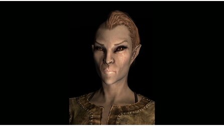 The Elder Scrolls 5: Skyrim - Gesichtsvariationen im Detail