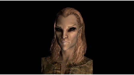 The Elder Scrolls 5: Skyrim - Gesichtsvariationen im Detail