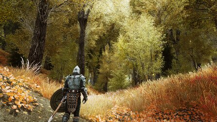 Skyrim - Mod macht Bäume mit echten Fotos als Textur realistischer