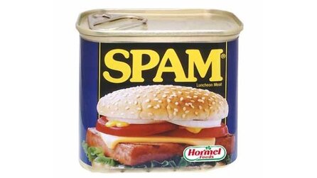Spam - Amerikaner lebt vom Kampf gegen Werbe-E-Mails