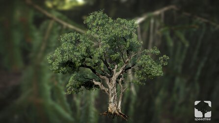 SpeedTree 8 - Screenshots zeigen lebensecht wirkende Wälder