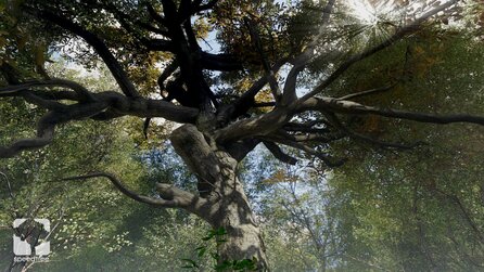 SpeedTree 8 - Screenshots zeigen lebensecht wirkende Wälder