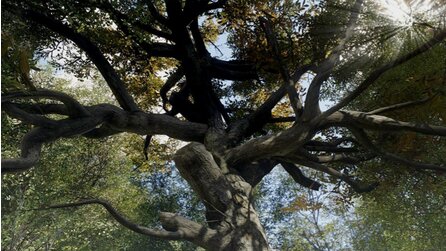 SpeedTree 8 - So sehen schnell platzierte Bäume in Spielen mittlerweile aus