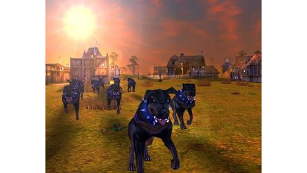Spellforce: Shadow of the Phoenix - Screenshots