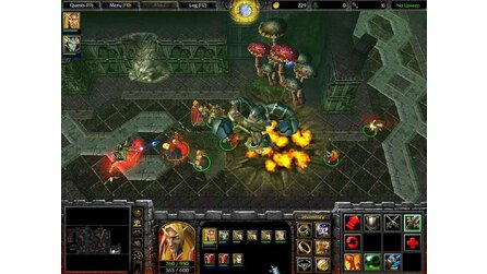 Frozen Throne: Feurige Vögel