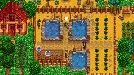 In Stardew Valley züchtet ihr bald Fische