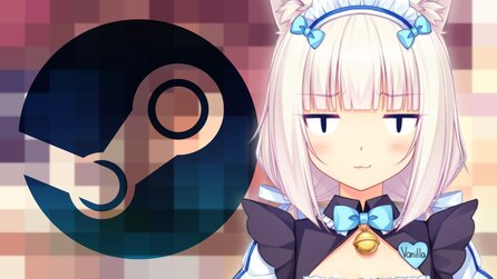 »Wie verstecke ich die denn jetzt?« - Ein Steam-User bekommt von einem Kumpel 200 ... besondere Spiele geschenkt