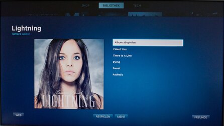 Steam Music - Screenshots