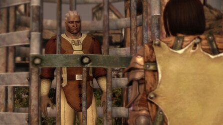 Dragon Age: Origins - Die Kameraden - Mistreiter im Überblick