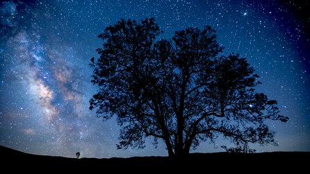 Stephen Hawking: »Jeder von uns lebt nur für eine kurze Zeit und besucht nur einen winzigen Teil des Universums«