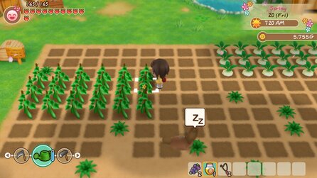 Story of Seasons: Friends of Mineral Town - Screenshots