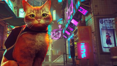 Stray: Cyberpunk-Spiel über streunende Katzen hilft echten Streunern