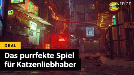 Wer Katzen liebt und dieses Spiel noch nicht kennt, hat wirklich etwas verpasst