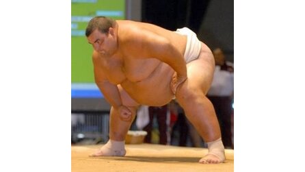 iPad - Ideal für japanische Sumo-Ringer