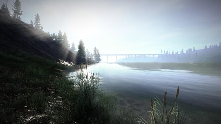 Survive the Nights - Screenshots