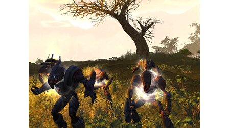 Tabula Rasa - Pre-Order-Pack ab morgen erhältlich