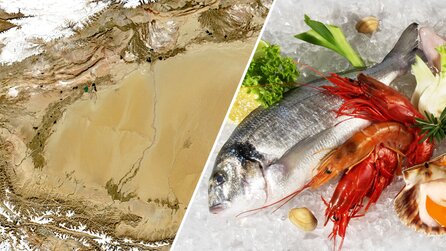 Jahrtausendelang mieden die Menschen die Durchquerung der Taklamakan-Wüste. Heute betreibt China dort Fischzucht
