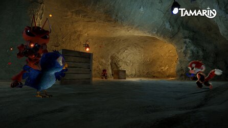 Tamarin - Screenshots