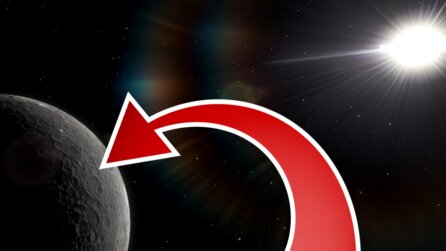 Wir haben einen neuen »fossilen Planeten« im Sonnensystem gefunden: Ammonite. Das ist eine schlechte Nachricht für Fans von Planet Neun