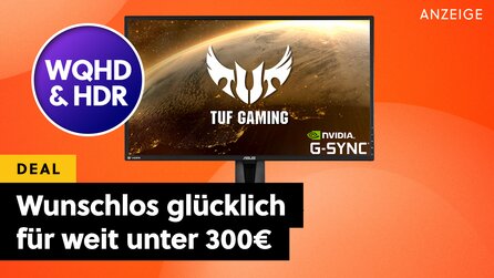 Wer sich da noch mit Full-HD abgibt, ist selbst schuld! Ein richtig guter WQHD Gaming-Monitor für richtig wenig Geld