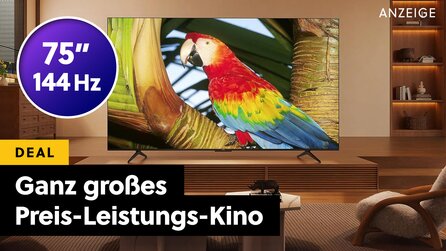 Brandneuer 75 Zoll QLED-TV über 30% günstiger: Diesen 4K-Fernseher empfehle ich für sein Preis-Leistungs-Verhältnis