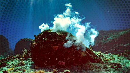 Forscher entdecken »Geo-Batterien« am Grunde der Tiefsee. Sie sind Billionen Euro wert und stellen unser Bild vom Entstehen des irdischen Lebens auf die Probe