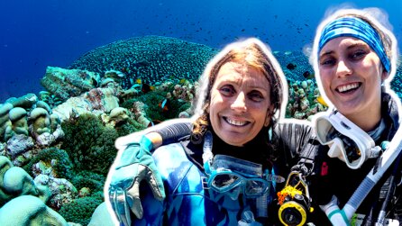 Im Ozean wurde per Zufall ein Lebewesen entdeckt, das so groß ist wie ein Fußballfeld – aber es bewegt sich nicht von der Stelle