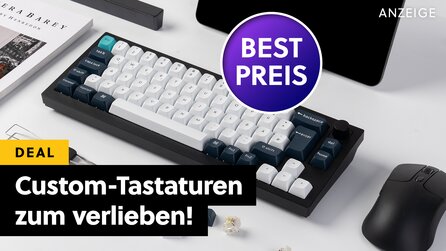 Seit meiner ersten mechanischen Tastatur von dieser Marke weiß ich sicher, dass ich nie mehr eine Gaming-Tastatur will!