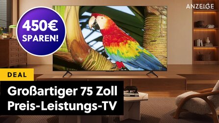 König seiner Klasse: Mega-großer 4K QLED-TV mit 144Hz und Dolby Vision zeigt Samsung, LG + Co. wie Preis-Leistung geht