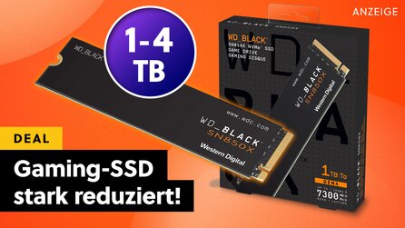 Amazon senkt Preise für High-Speed-Speicher! Extrem schnelle NVMe SSDs von Western Digital jetzt im Angebot günstiger