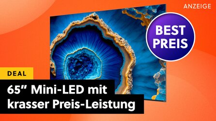 65 Zoll groß und für diese Bildqualität viel zu günstig: Dieser Mini-LED 4K-TV ist mein Preis-Leistungs-Tipp