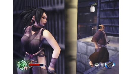 Tenchu: Fatal Shadows