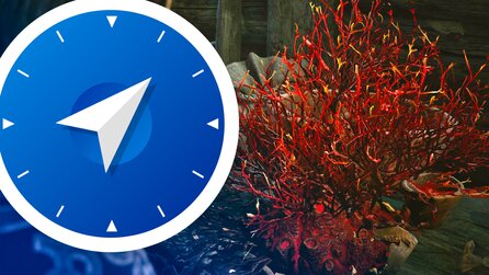 Igelkraut in The Blood of Dawnwalker: Wenn ihr eine Pflanze mit Coens Blut gießt, bekommt ihr einen enorm nützlichen Buff