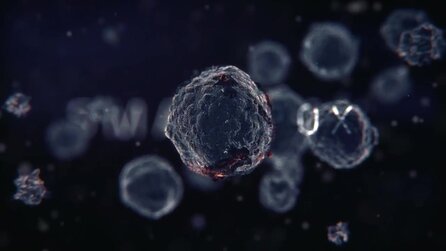 The Division - Trailer zu »Collapse - Die Untergehsimulation«