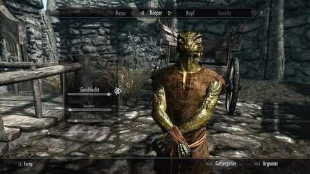 The Elder Scrolls 5: Skyrim - Die Rassen im Spiel und ihre Stärken