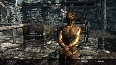The Elder Scrolls 5: Skyrim - Die Rassen im Spiel und ihre Stärken