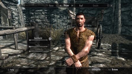 The Elder Scrolls 5: Skyrim - Die Rassen im Spiel und ihre Stärken